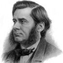 조수의과병원 이미지