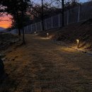 피그닉 | 서울근교 애견독채운동장 찾다가 발견한 동두천 피그닉댕댕 후기