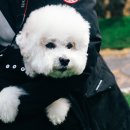 멍스토리 이미지