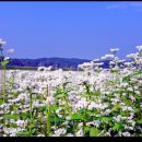 속초지역자활센터햇살세탁 | 횡성군, 연말연시 공직기강 확립 및 선거대비 특별감찰 실시