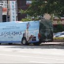 나무엔 해충, 거리엔 해차?? 이미지