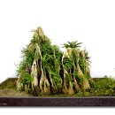 금수강산 이미지