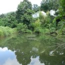 화남2 태양광발전소 이미지