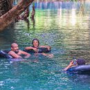 루니농장 | 아프리카 여행 : 탄자니아 킬리만자로 마테루니 커피 쳄카온천 이색체험