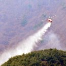 의성, 영덕 산불 진화율 100% 이미지