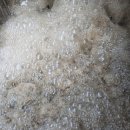 크리닝 114 이미지