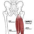 모션업PT 이미지