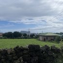 영희농장2 이미지