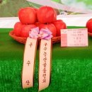 가평군 농업기술센터 | 가평사과 백세사과원 달콤한 가평부사 미얀마사과 황금사과 시나노골드 농부직판
