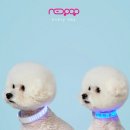 (주)네오팝 이미지