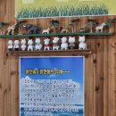 왕진물칼국수 | [안산/대부도] 대부도 해물칼국수 맛집 왕진물칼국수 내돈내산 후기