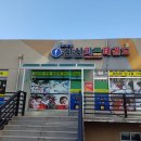 신신키즈태권도 이미지