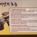 벌교꼬막정식앤삼계탕 이미지