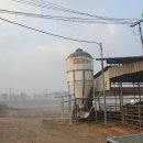 일지 태양광발전소 이미지