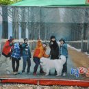 군청 메타세콰이어길 이미지