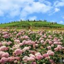 한양에너지(주) 이미지