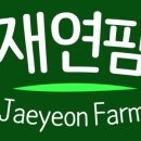 재연농원 이미지
