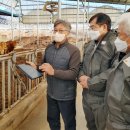 보기축산 이미지