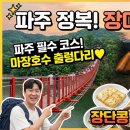 장미의 피날레를 파주에서 — 마장호수 출렁다리 + 임진각 캠핑 + 장단콩 미식 완전 정복