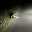 마중공원 이미지