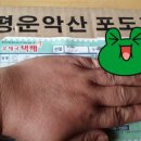 물물교환>가평운악산 포도과즙 100% 후기/가평 선경농원