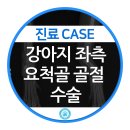 강동24시SKY 동물병원 이미지