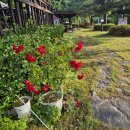 솔채운 | 지리산풍경카페 솔채운 후기