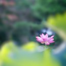 5002, 天命천명 이미지