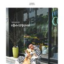 (주)바이브앤 이미지