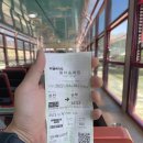 성곡마을쉼터 | 분천 산타마을 낙동정맥트레킹 세평하늘길 협곡열차 백패킹