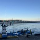 GS25 동해어달항 | 묵호 어달항 알록달록 방파제와 근처 브릭베이커스 카페