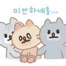 가자셀프세차 이미지