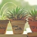 당구25클럽 이미지