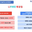 골든트리라이프
