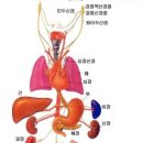 인체의 구조 이미지