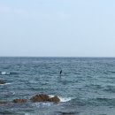 더드림 하우스 펜션 이미지