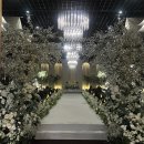 G2100 | [하객후기#16] 더컨벤션 송파문정 일요일 결혼식 참석 후기🩵 그랜드볼룸홀/뚜벅이 길찾기 등등:)