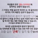 비비핏