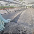 헌호농장 이미지