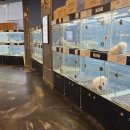 도그마루 강아지 고양이 부산점 이미지