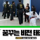 비전 태권도장 이미지
