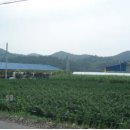 청풍한우농장 이미지