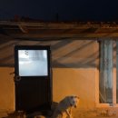 월오포레스트 이미지