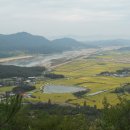 황금물결 이미지