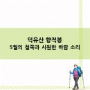 41190-01-07-322 | 덕유산 향적봉 5월의 철쭉과 시원한 바람 소리