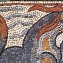 gc-camera-020 이미지