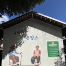 아이리스촌캉스 이미지