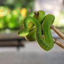 건너농장 이미지