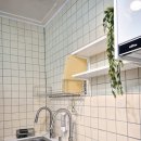 스테이칸 이미지