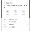취준생의 에그드랍 골든하인드 지원 후기